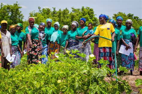 Chamber Of Agribusiness Propounds Solutions To Reinvigorate Ghana’s Agriculture Amidst