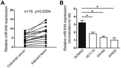 Low‑level Mir‑646 In Colorectal Cancer Inhibits Cell Proliferation And