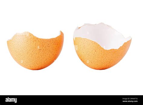 Egg Shell Isolated On White Broken Egg Shell Isolated On White Stock