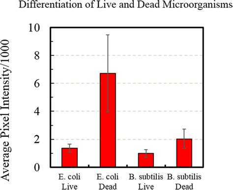 Cellular Uptake C60 Cystine For Differentiating Live And Dead