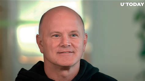 Mike Novogratz On Crypto Prices Of Course We Could Go Lower