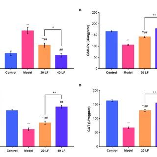 Effects Of Lf On The Mda Levels A Gsh Px Sod And Cat Activities