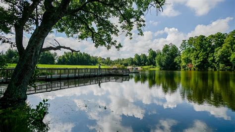 How Parks and Green Spaces Can Improve Your Health | College of Natural ...