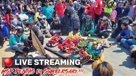 LIVE KUDA LUMPING MSP SUMBERSARI RW07 YouTube