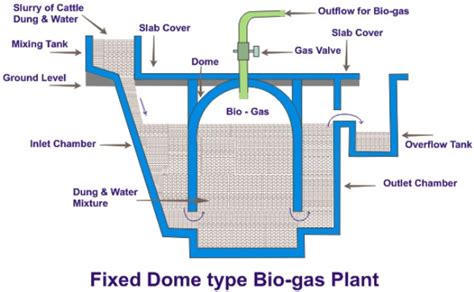 Construction Andworking Of Biogas Plant Homework Help Mycbseguide