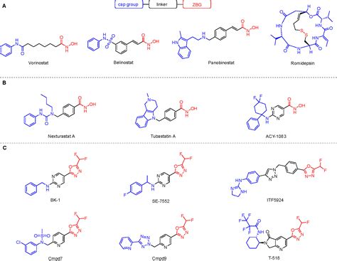 Difluoromethyl Oxadiazoles The Future Of Selective Histone