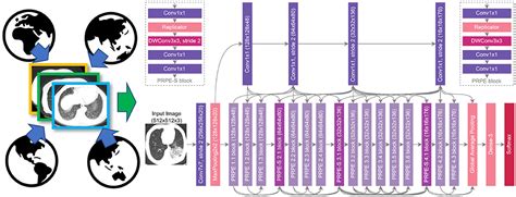 Frontiers Covid Net Ct Enhanced Deep Neural Networks For Detection