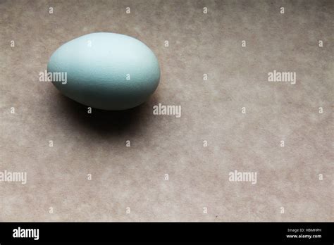 Robin Egg Blue Hi Res Stock Photography And Images Alamy