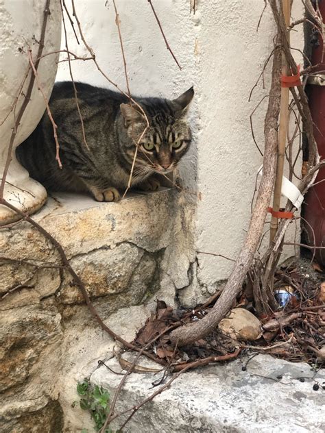 FUCK YEAH FRANCE On Tumblr