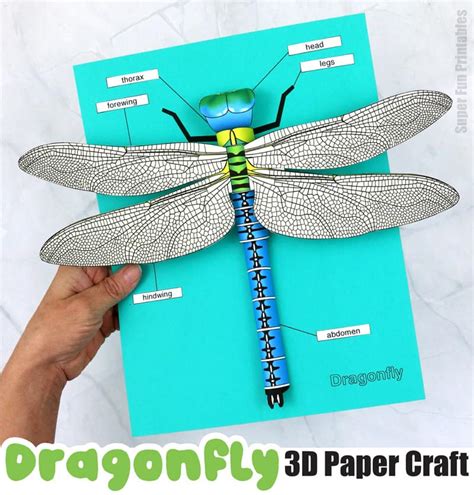 3d Paper Dragonfly Dunamai