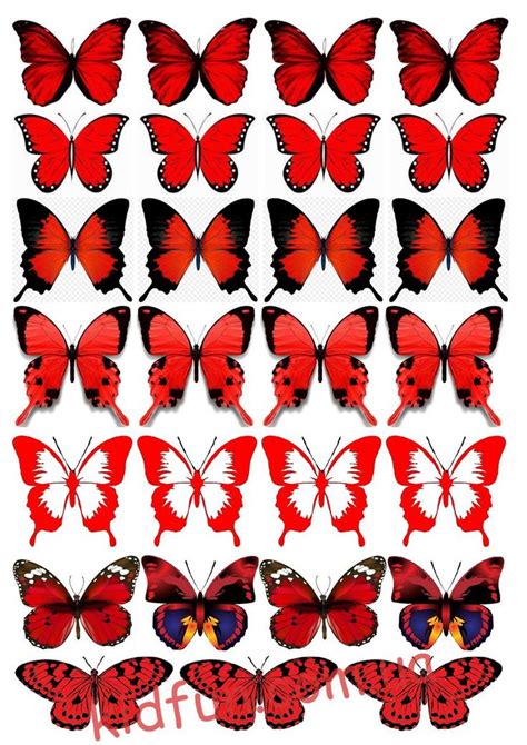 Pin De Miroslav En бАБОЧКИ Mariposas Para Imprimir Plantilla De Mariposa Regalos De