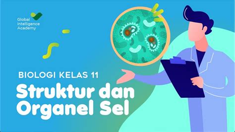 Biologi Kelas 11 Struktur Dan Organel Sel Gia Academy Youtube