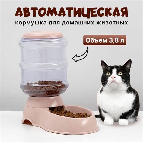 Автоматическая кормушка для кошек и собак - купить с доставкой по ...