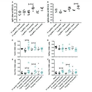 Interactions Of Glycans With Immune Cells And Regulatory Pathways A