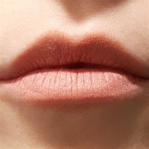 Todo Moda Labial Nude Mate Reviews Abillion
