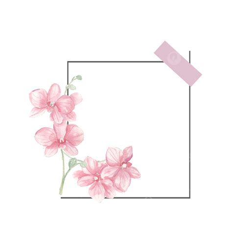 Moldura Polaroid Flor Em Aquarela De Orqu Dea Rosa Suave Pintada