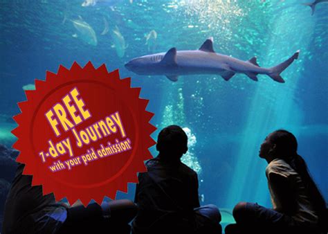 Maui Ocean Center | Maui Aquarium | Maui Things to Do