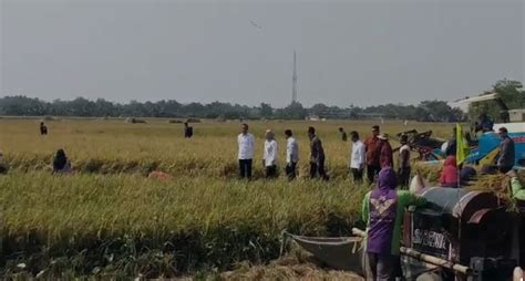 Tiba Di Lokasi Bupati Nina Dampingi Presiden Jokowi Langsung Turun Ke