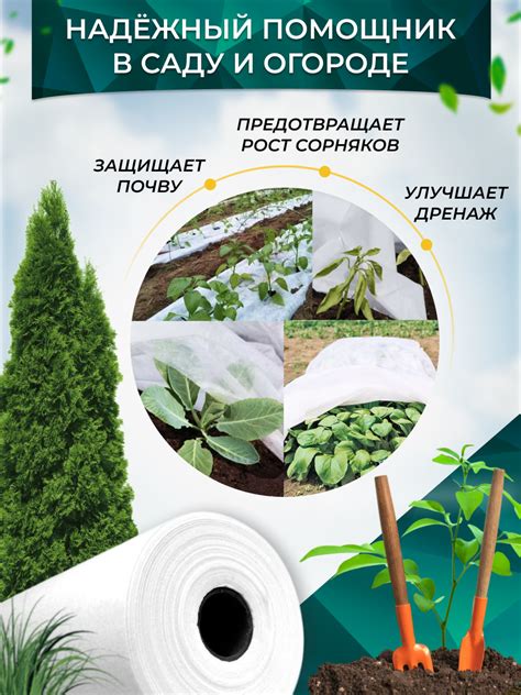 Геотекстиль дорнит 100 г/м2 (2.2х1) иглопробивной, нетканый для сада ...