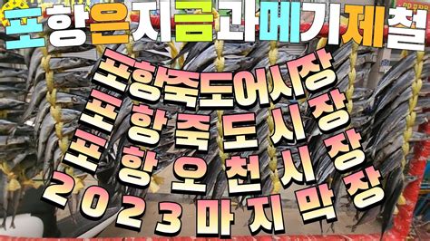 伝統市場 포항 죽도시장 오천시장 어시장 2023연말 한꺼번에 만나보시죠 견문록삶2051 Pohang Jukdo fish