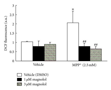 Effect Of Magnolol On Ros Production In Mpp Treated Human