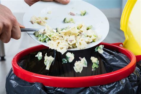 Tips For Restaurant Food Waste Reduction Savannah News