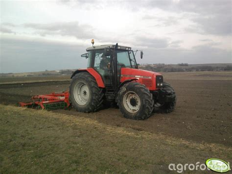 Zdjęcie ciagnik MF 6290 & Kombi #278213 - Galeria rolnicza agrofoto