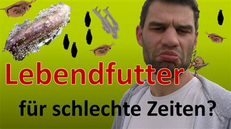 Lebendfutter für den Winter einlagern YouTube