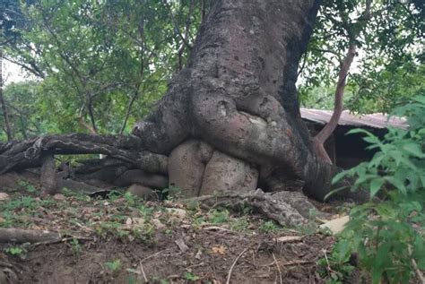 Natures Porn Imgur