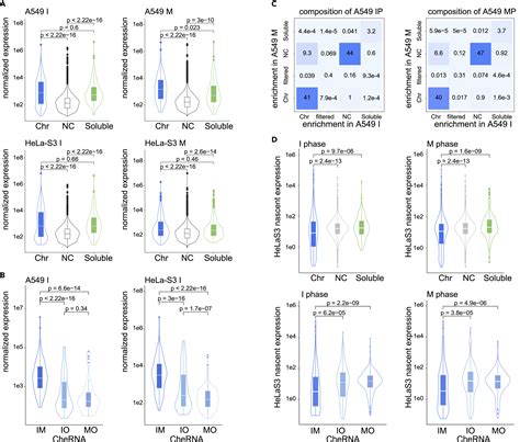 Profiling And Characterization Of Constitutive Chromatin Enriched Rnas