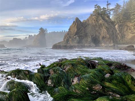 The Gorgeous Oregon Coastline Is a Beachcomber's Paradise | Good Sam