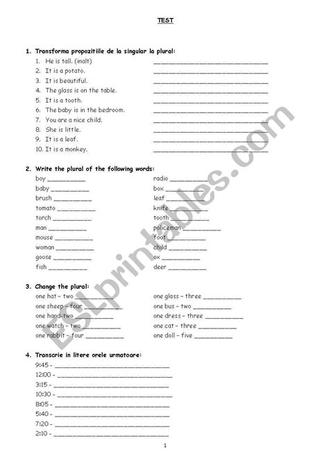 Esl Practice Test Worksheets