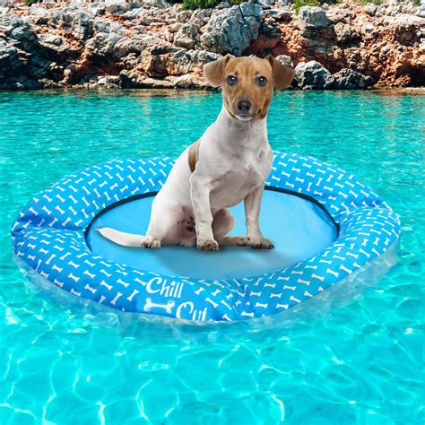 ALL FOR PAWS Dog Float for Pool no Need to inflate Pool Float for Dogs
