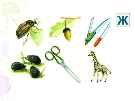 Дидактический материал для оценки уровня речевого развития детей ...