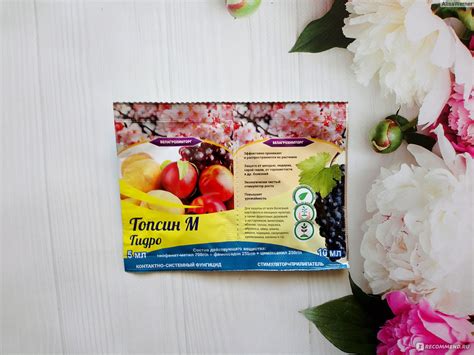Топсин М Гидро - «Топсин М от грибковых заболеваний на растениях 🌿 В ...