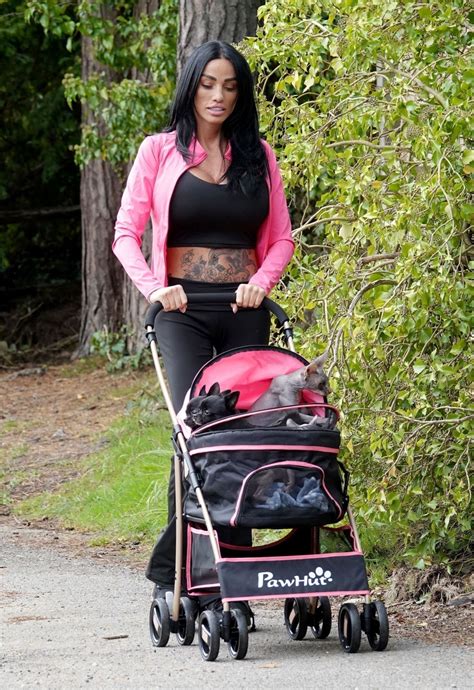 KATIE PRICE Walking Her New Sphynx Cats in a Pink Pram in London 10/22