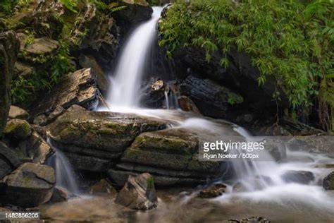 El Yunque Waterfalls Photos and Premium High Res Pictures - Getty Images