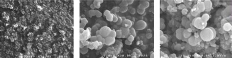 Sem Photographs Of The Photocatalysts A Commercial Degussa P B