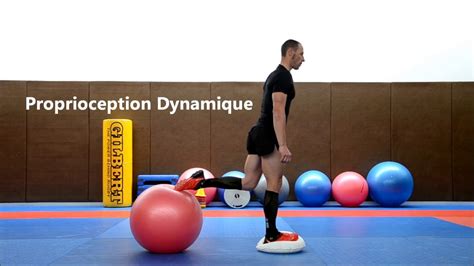 Renforcement Quadriceps Avec Swissball Youtube