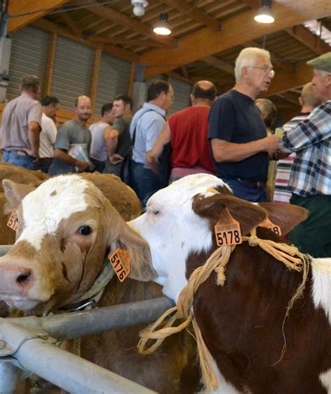 Rh Ne Saint Laurent De Chamousset Et Son March Aux Veaux