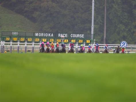 第5回盛岡競馬の芝レースをすべてダートに変更 重賞3競走にも影響 競馬ニュース Netkeiba