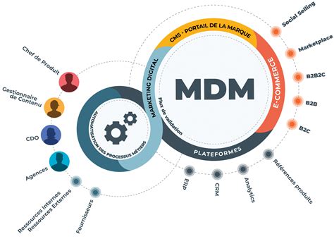 Qu Est Ce Que Le Master Data Management Mdm Galil E Int Gration