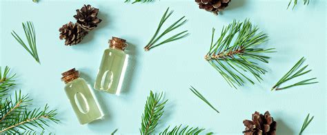 Makes Perfect Scents The Science Behind Holiday Aromas Live