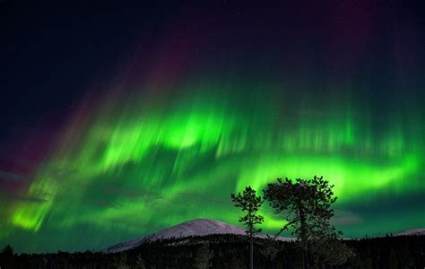 Steve The Extremely Rare Phenomenon Triggered By Solar Storm Nature