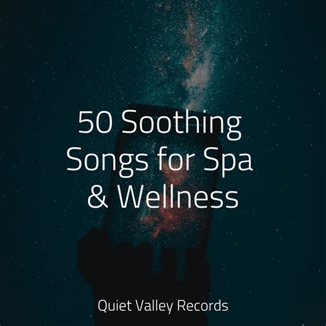 50 Soothing Songs for Spa Wellness Nature Ambience 专辑 网易云音乐