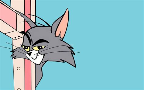 Tom And Jerry Memes Wallpapers - Wallpaper Cave