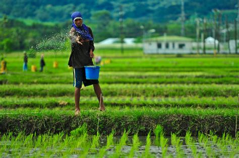 Tiga Tantangan Dunia Pertanian Masa Kini Situs Hijau Indonesia