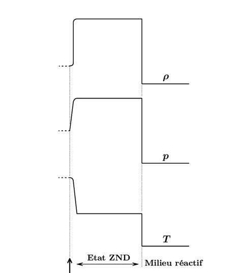 25 Structure Monodimensionnelle De La Détonation Selon Le Modèle Znd