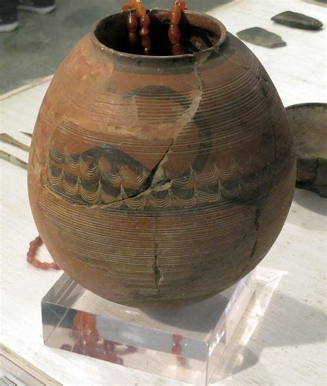 Ancient DNA: Kashmir's Genetic Link to Central Asia Unveiled