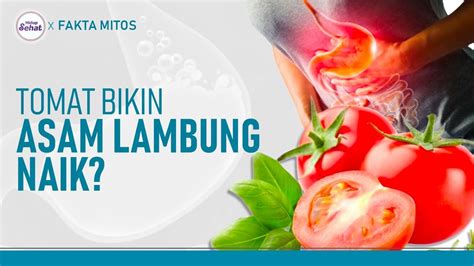 Benarkah Penderita Asam Lambung Tidak Boleh Konsumsi Tomat Hidup